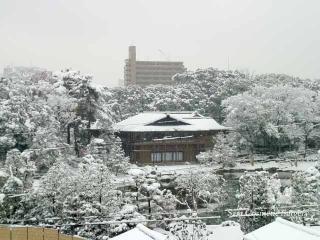雪化粧の徳川園