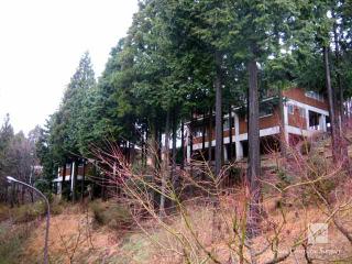 ロッジが何棟かあります