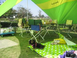 ちょっとお疲れのフラン