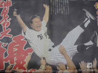 ２００３年セントラルリーグ優勝