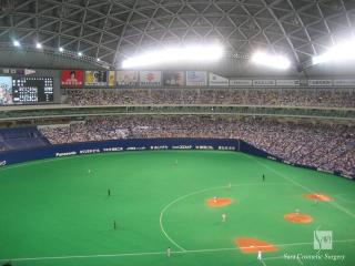 ５階席からの眺め