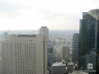 新宿アイランドタワー３５Ｆからの景色