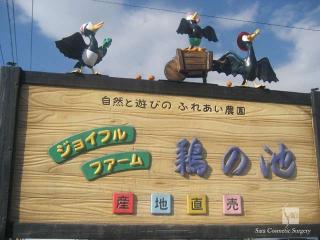 ジョイフルファーム鴻の池