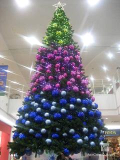 クリスマスツリー