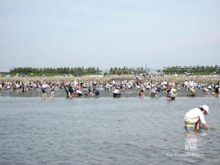 一色・味沢潮干狩り
