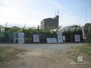 山口観光ぶどう梨園