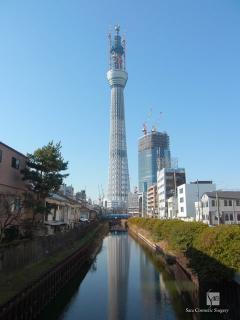 スカイツリー