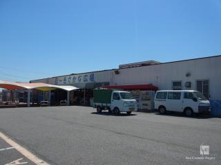 一色さかな広場