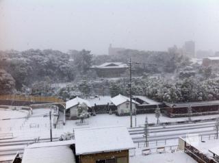 雪化粧の徳川園