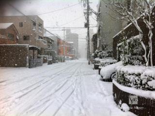 道路も雪