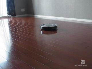 ルンバ７８０仕事中