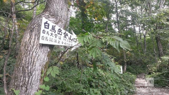 白馬岳猿倉登山口